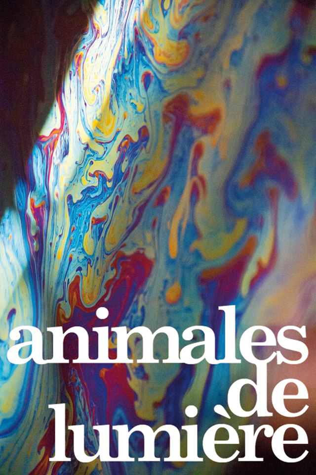 Animales de Lumière
